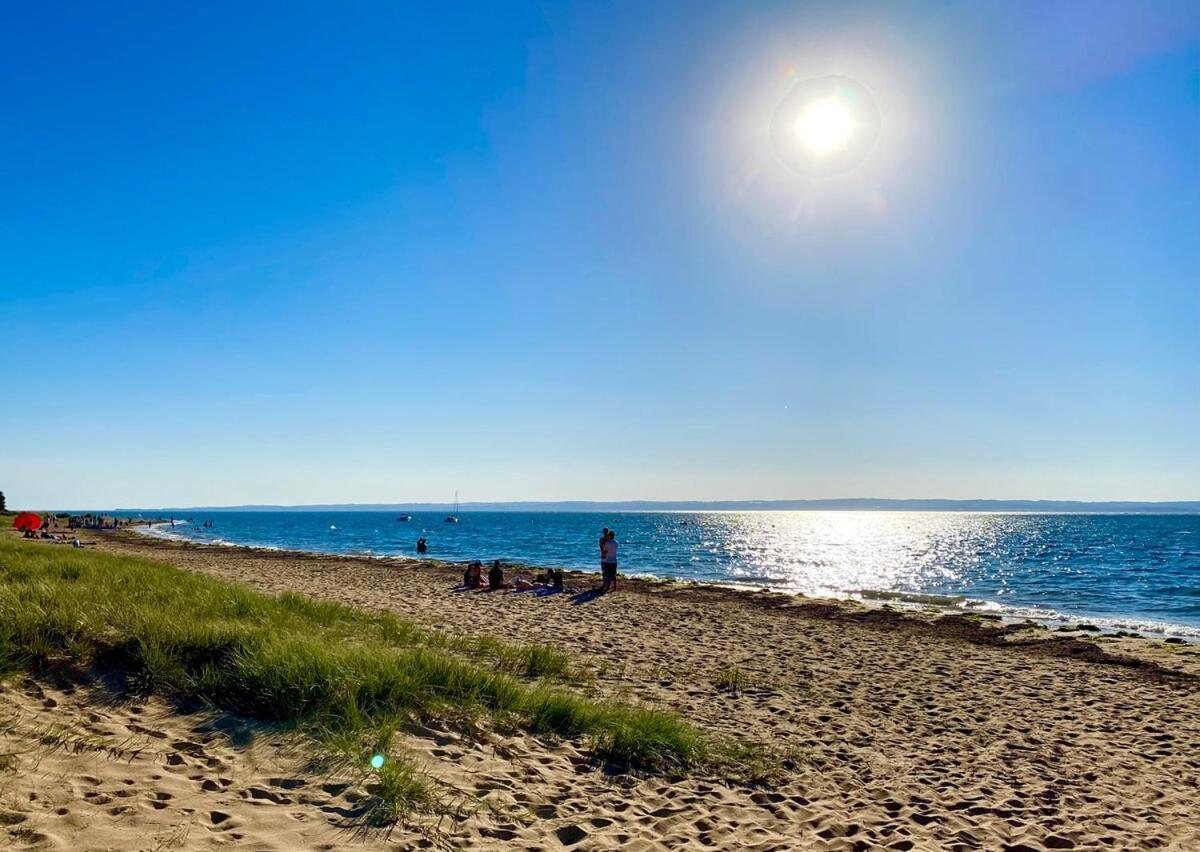 Sunny 2 Bedroom Cottage, Pets Welcome, 400M To Beach Ventnor Exteriör bild