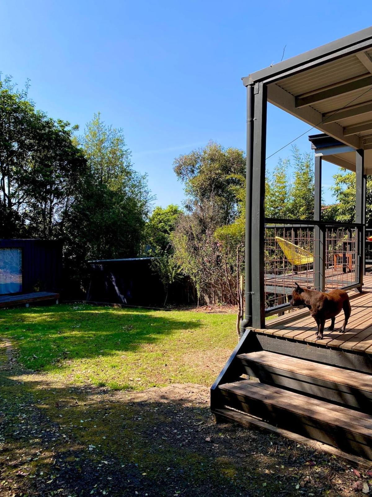 Sunny 2 Bedroom Cottage, Pets Welcome, 400M To Beach Ventnor Exteriör bild